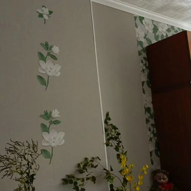 Дом 44 м² на участке 2,8 сот.