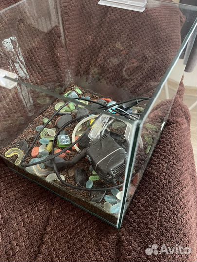 Аквариум