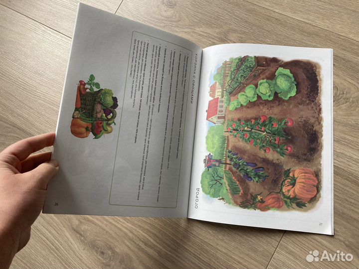 Книги развитие речи