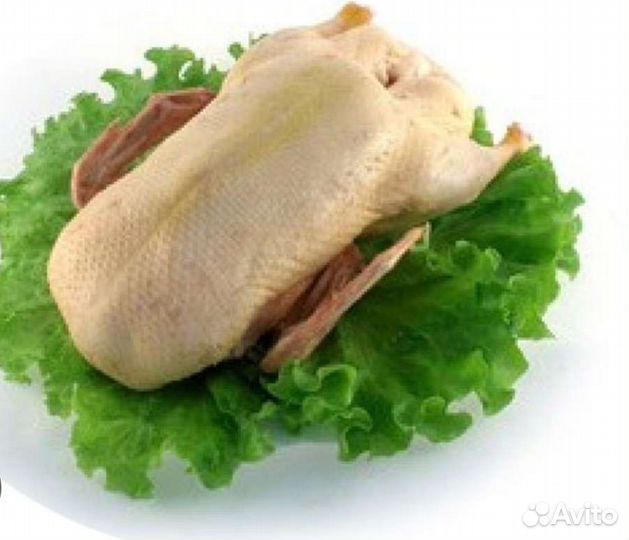 Мясо утки домашней