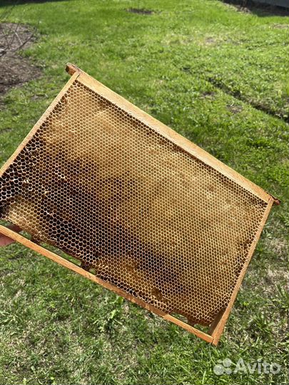 Ульи для пчел