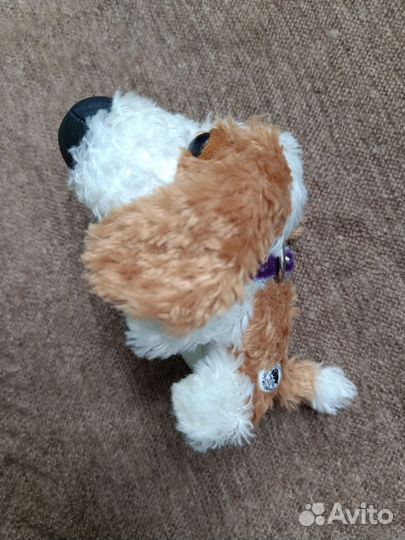 Журнал и собака The dog collection 1