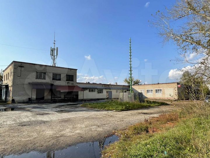 Сдам помещение в Заре, 93 м²