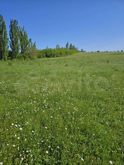 Участок 50 сот. (СНТ, ДНП)