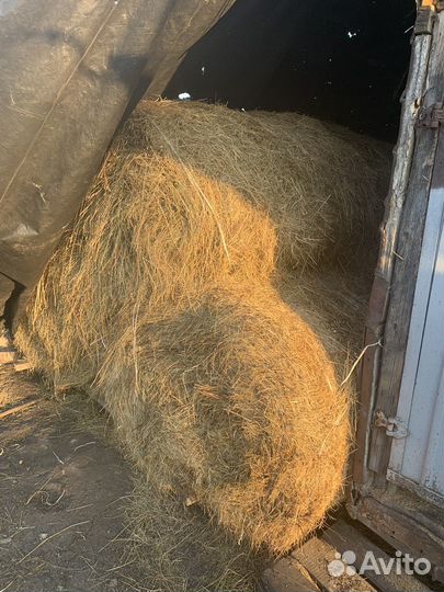 Сено луговое в тюках