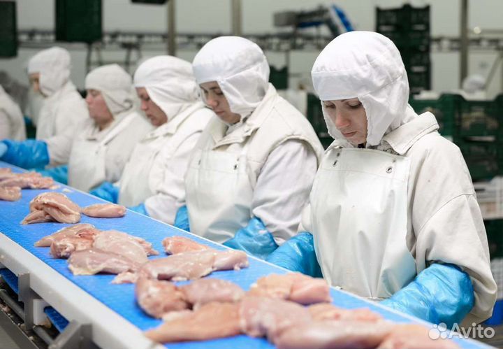 Упаковщик на птицефабрику Вахта