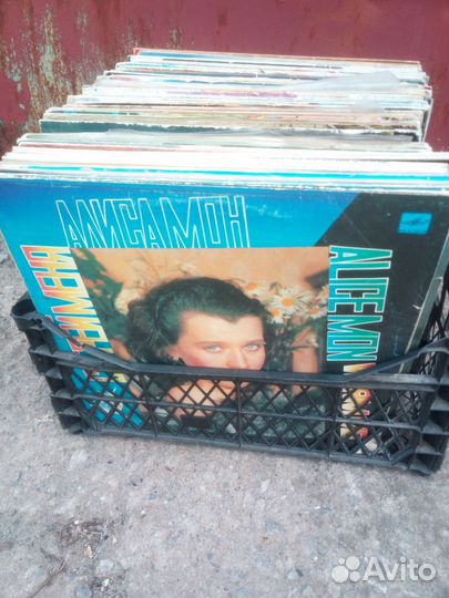 Виниловые пластинки в большом ассортименте