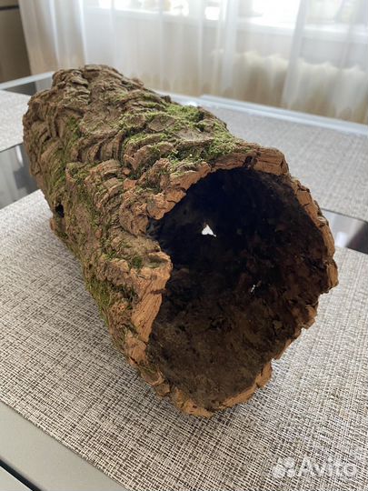 Кора пробкового дуба