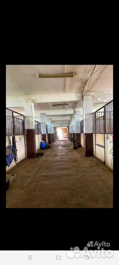 Постой для лошадей