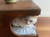 Домик лежанка для кошки