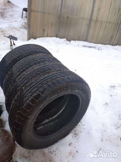 Tunga Tunga 65 R15