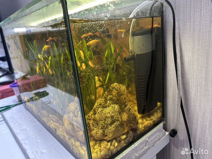 Аквариум 30 литров