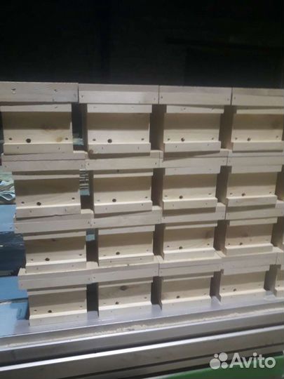 Нуклеусы, мини Нуклеусы