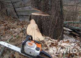 Спил деревьев