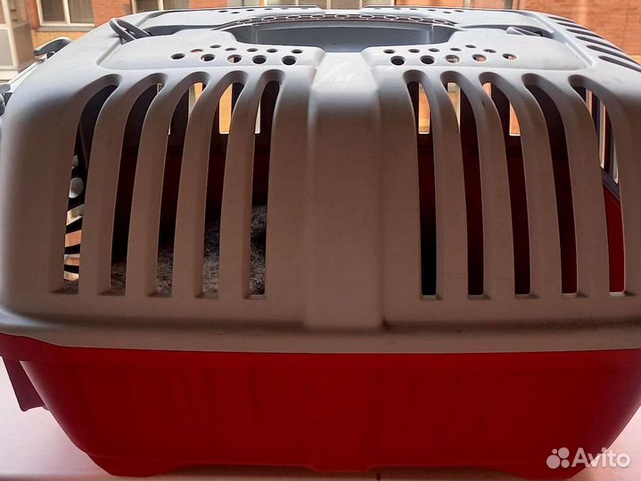 Переноска в аренду