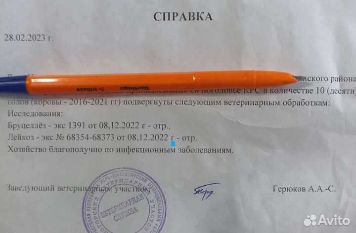 Молоко Аиран