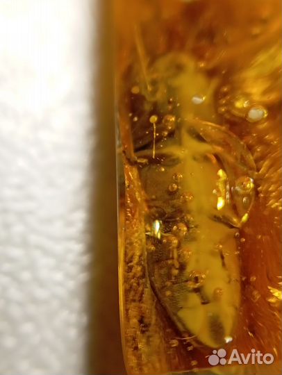 Крупный жук инклюз в Балтийском янтаре