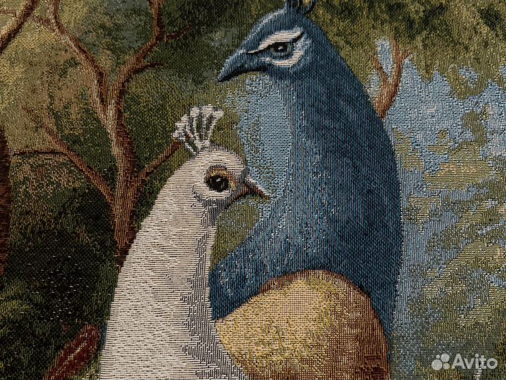 Павлин картина