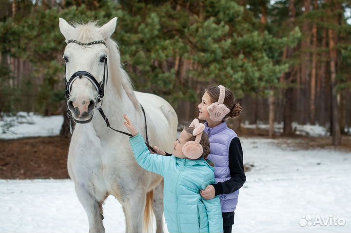 Прогулки верхом,урокиве,пони-клуб,отдых на природе