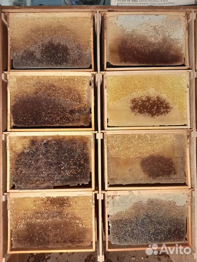 Сушь на 300 и 145