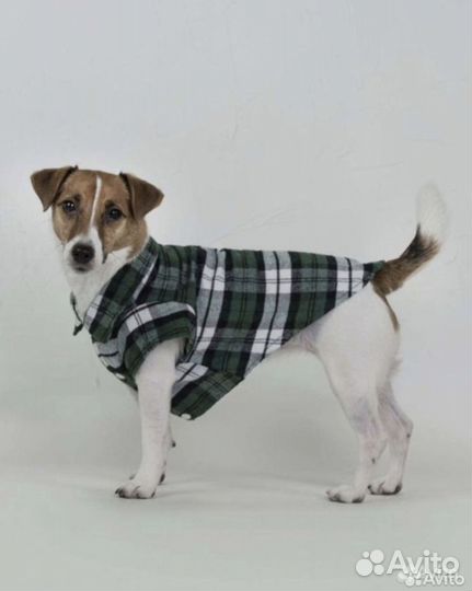 Новая рубашка для собак и кошек, р.S