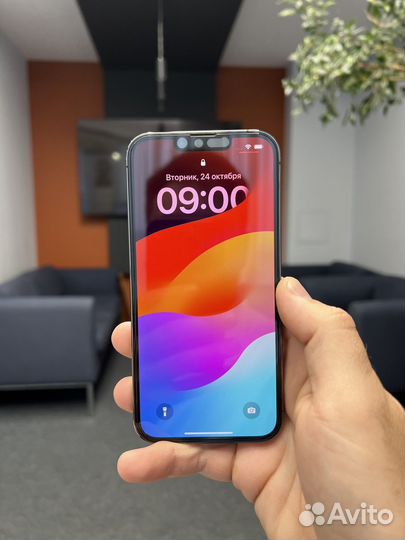 iPhone 13 Pro, 256 ГБ