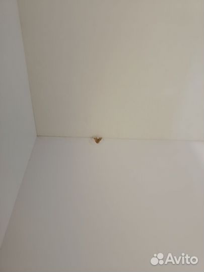 Детский шкаф Монтессори