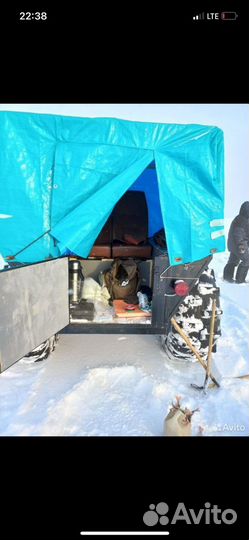 Каракат зис5