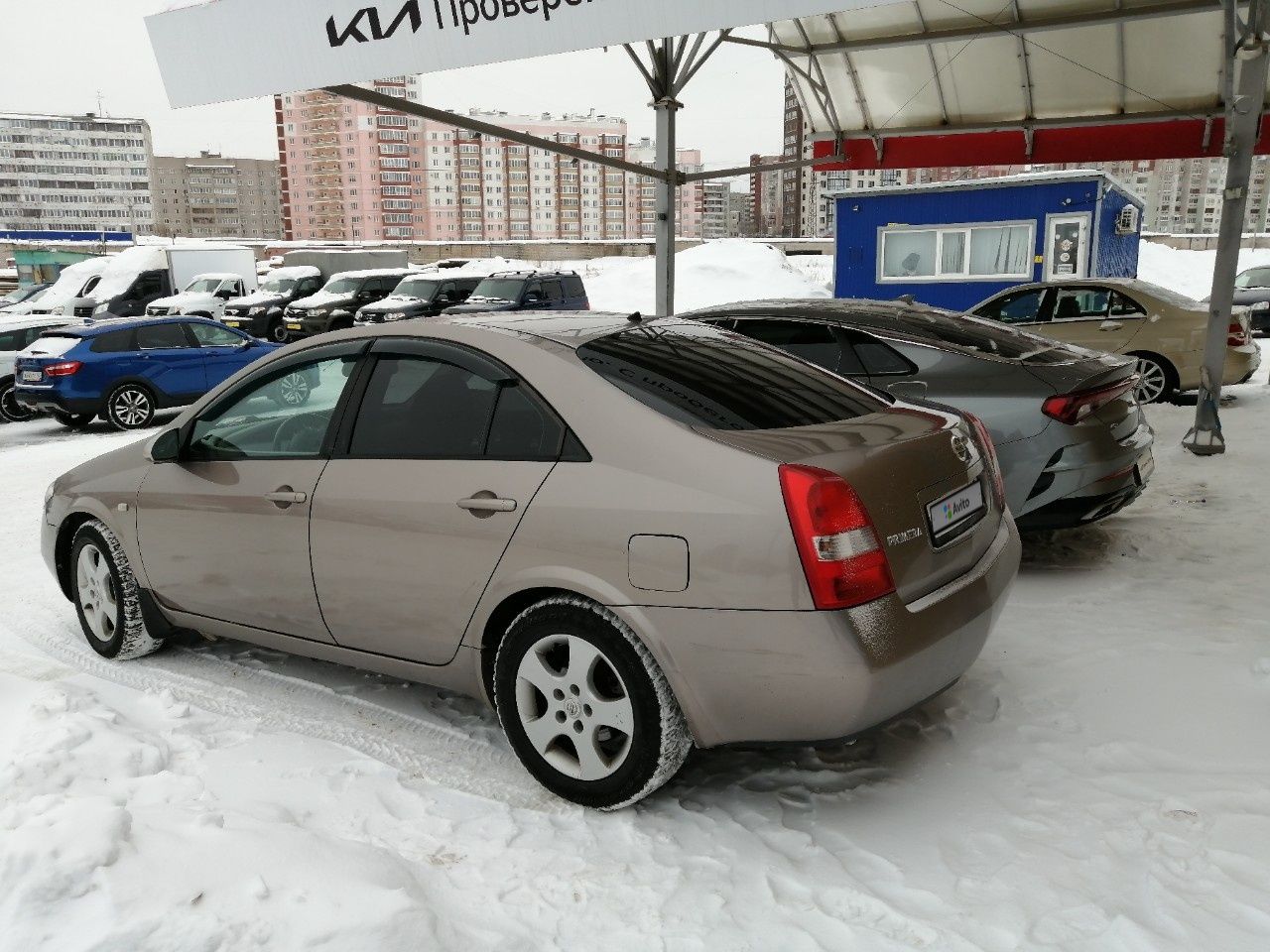 Nissan Primera: фото владельца