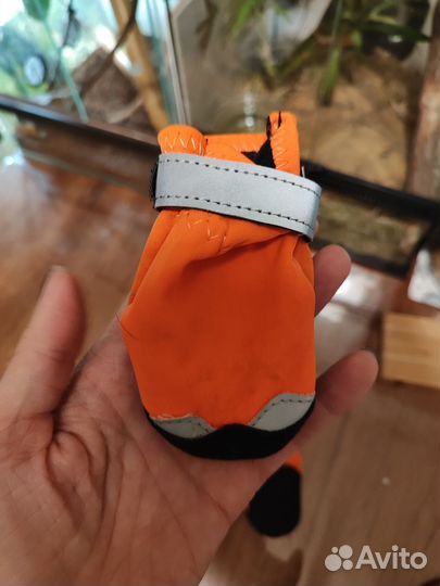 Уличная обувь для собак мелких пород