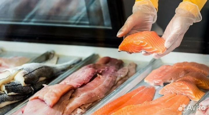 Франшиза: готово для старта