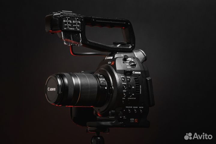 Canon c100