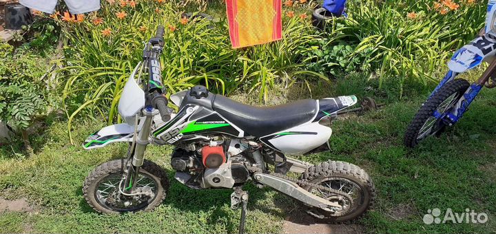 Питбайк BSE EVO 110EA 12/10 автомат
