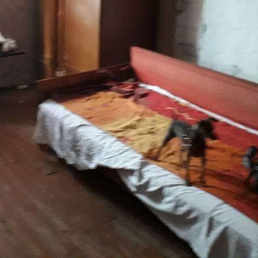 Квартира 1-комн. 27.1 м² за 300 000 ₽ в Усвяты — фото 2