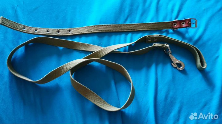 Товары для больших собак поводки и ошейники