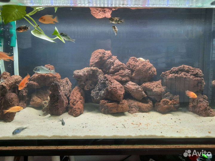 Лава вулканическая для аквариума