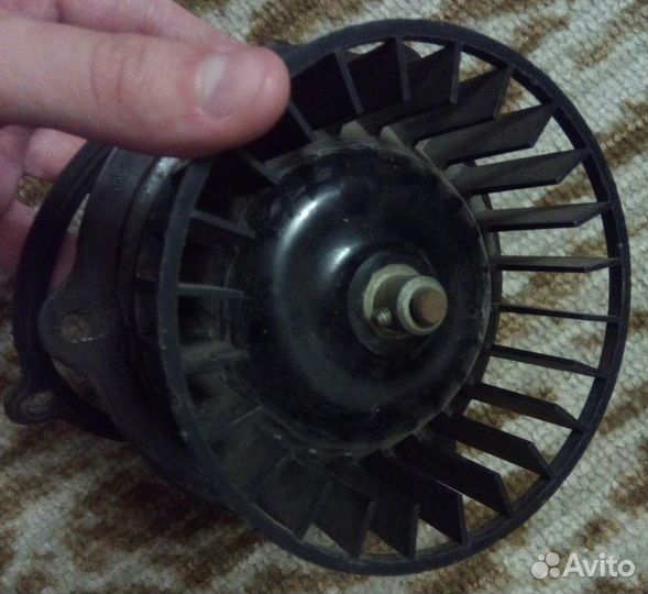 Улитка с крыльчаткой, фильтр