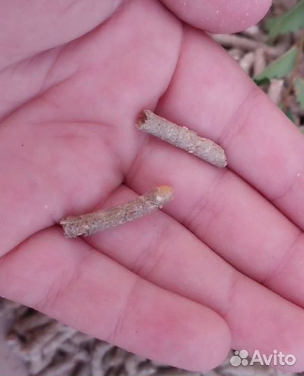 Комбикорм гранулированный