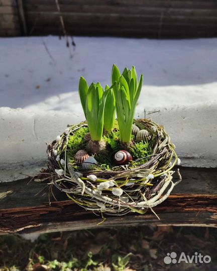 Гнездо натуральное декоративное
