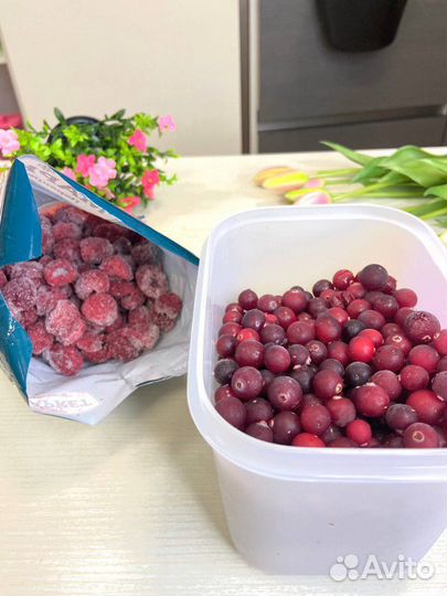 Контейнеры для заморзки
