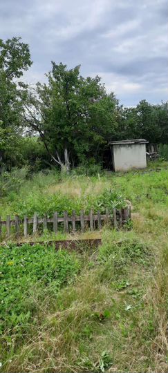 Дача 10 м² на участке 6 сот.