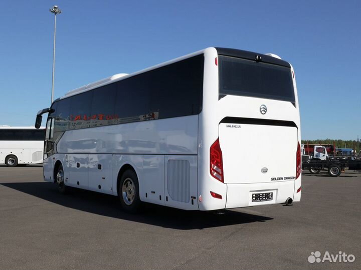 Туристический автобус Golden Dragon XML6952, 2024