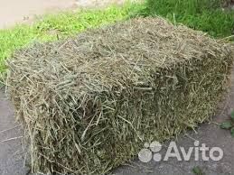 Сено в тюках