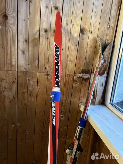 Лыжи беговые