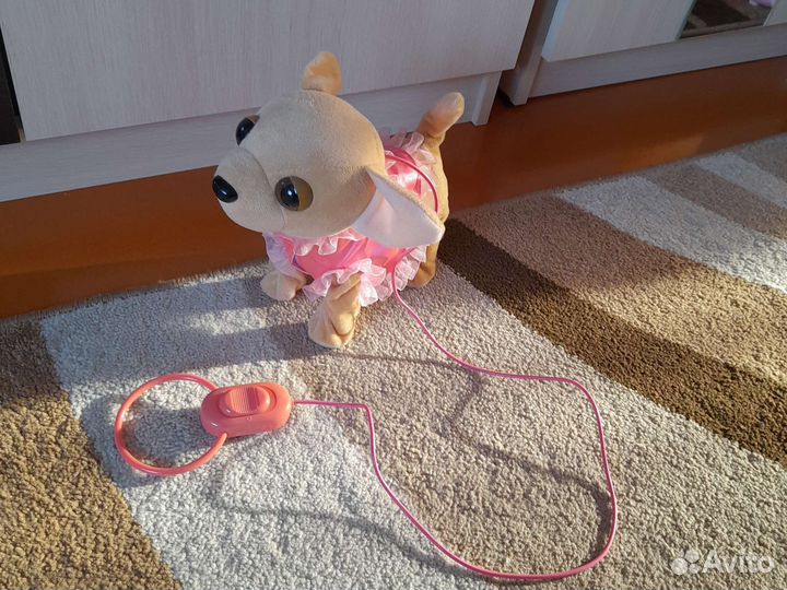 Собака с поводком