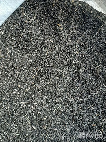 Семена сеника