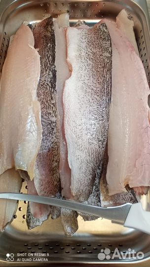 Фарш из щуки