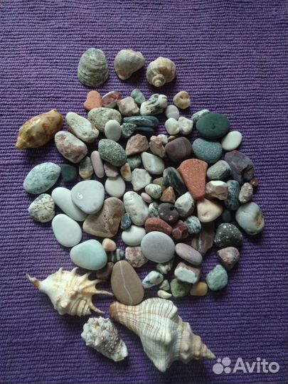 Камушки и ракушки из моря. Камни из Урала