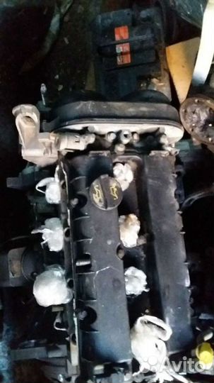 Форд фокус 2. Фокус 3 головка блока