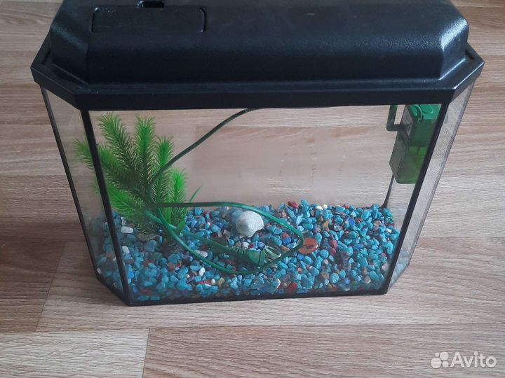 Аквариум